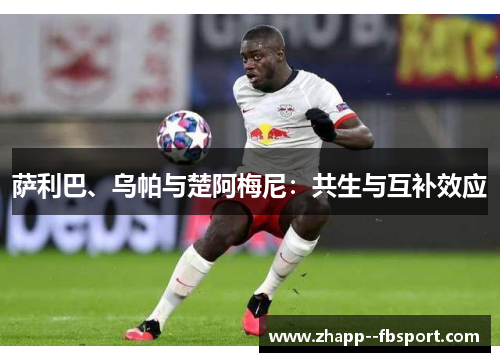 萨利巴、乌帕与楚阿梅尼：共生与互补效应